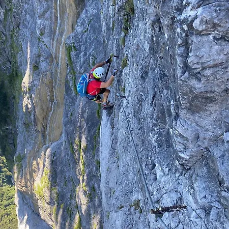 Trollenhof Im Allgaeu - Saeuling *