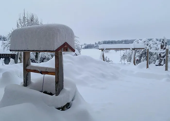 Säuling * Ruckholz